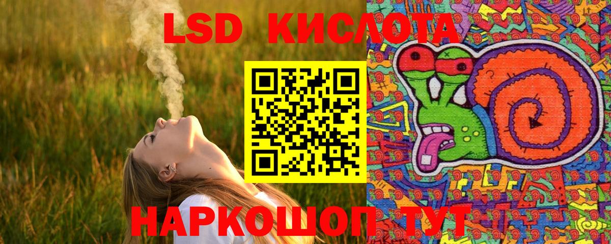 Бердск  Наркотические марки 1,8мг  Наркотические марки 1,8мг  Вход с VPN 