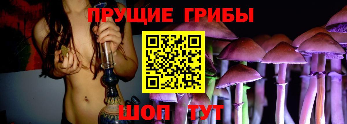 Псилоцибиновые грибы GOLDEN TEACHER  Вход с VPN  Бердск  Псилоцибиновые грибы мицелий 