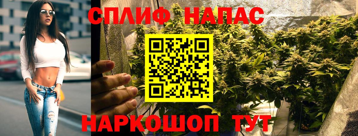 Шишки марихуана гибрид Бердск